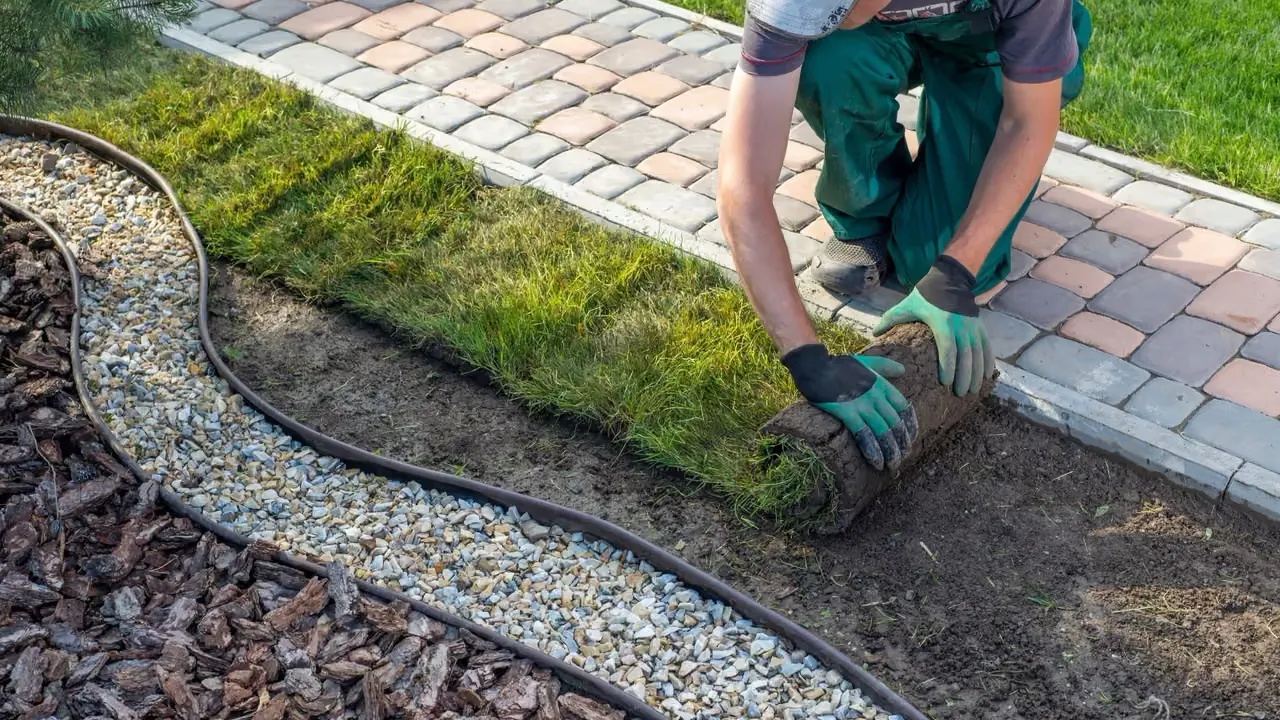 Växter som livar upp stadens trädgård